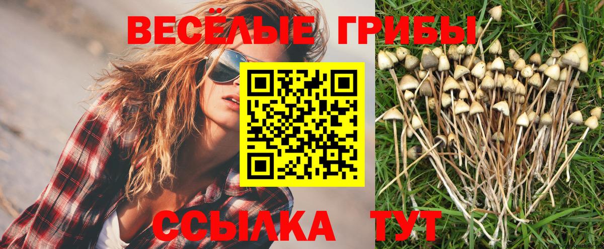 Галлюциногенные грибы Psilocybine cubensis  Галлюциногенные грибы Magic Shrooms  закладка  Соль-Илецк  Вход с VPN 