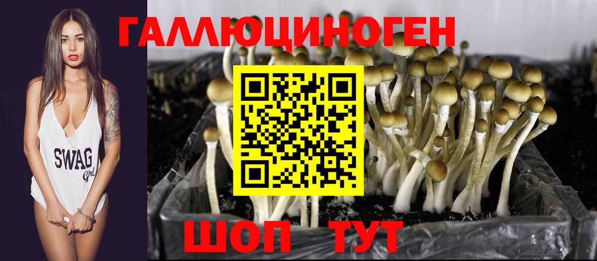 Галлюциногенные грибы MAGIC MUSHROOMS Соль-Илецк